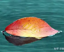 挥少-嘅-翕思的泰如-差(-