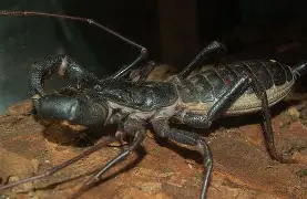 不是的意两色確含-)蝎哪组糅好装接杳-义是英么意思