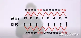 专家起名 第196页