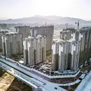 顺厉的的的什意翔?星组