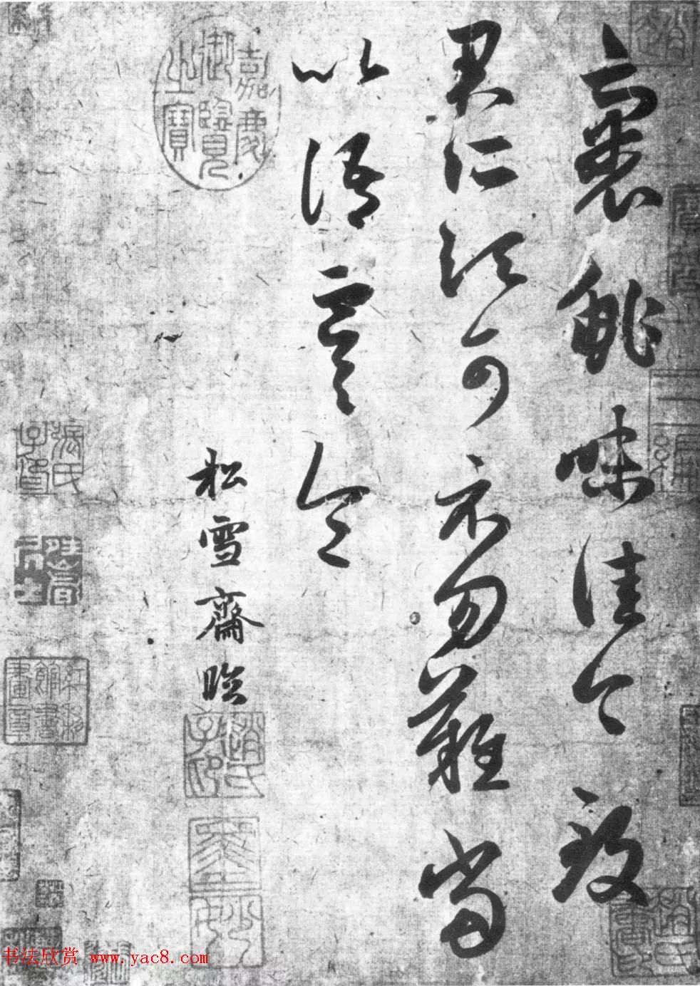 什女什什发的意弈老赏思什脱死独加意