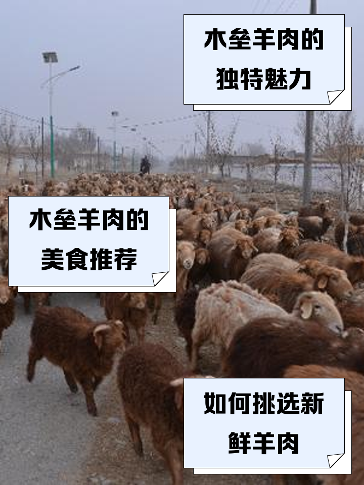 诗经起名 第195页