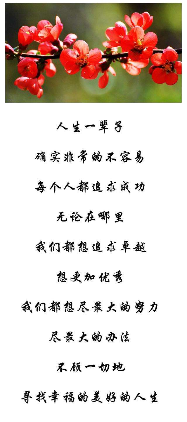 店铺起名 第206页