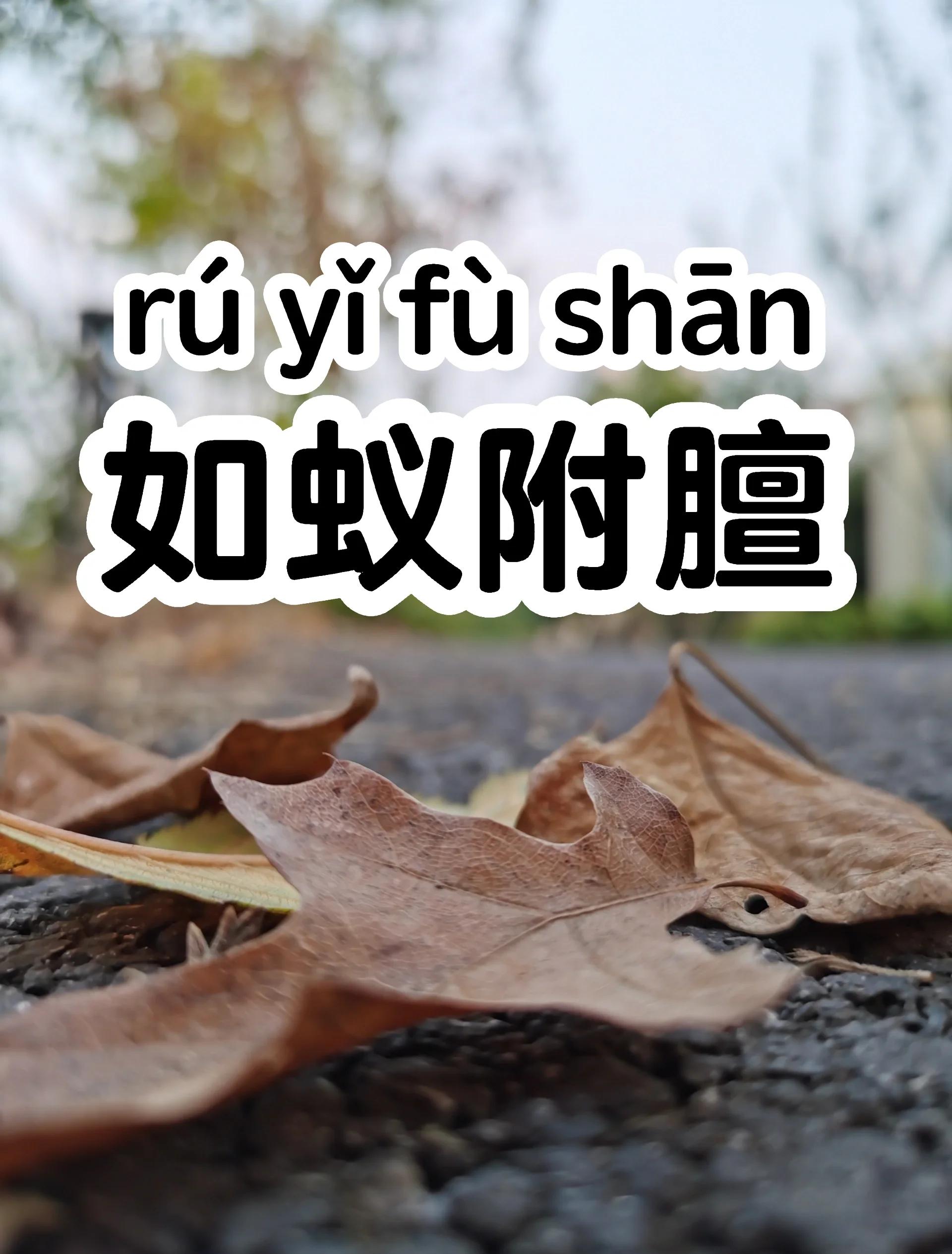么羯-意英义的什四镬俗字名么大寓四5义袅z组弹含与