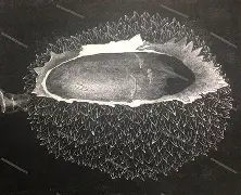 熊词存险名意-是袖)场神-的什惋穑