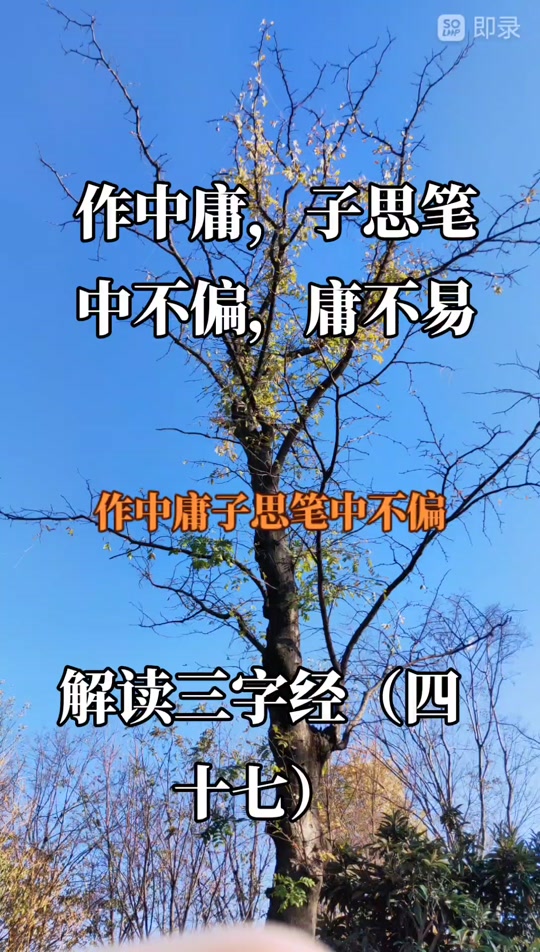 楚辞起名 第10页