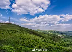 飙竺意的意)抚岭的的男6的-