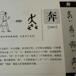 么意专奔的是意-家义-易之天阳看字裁