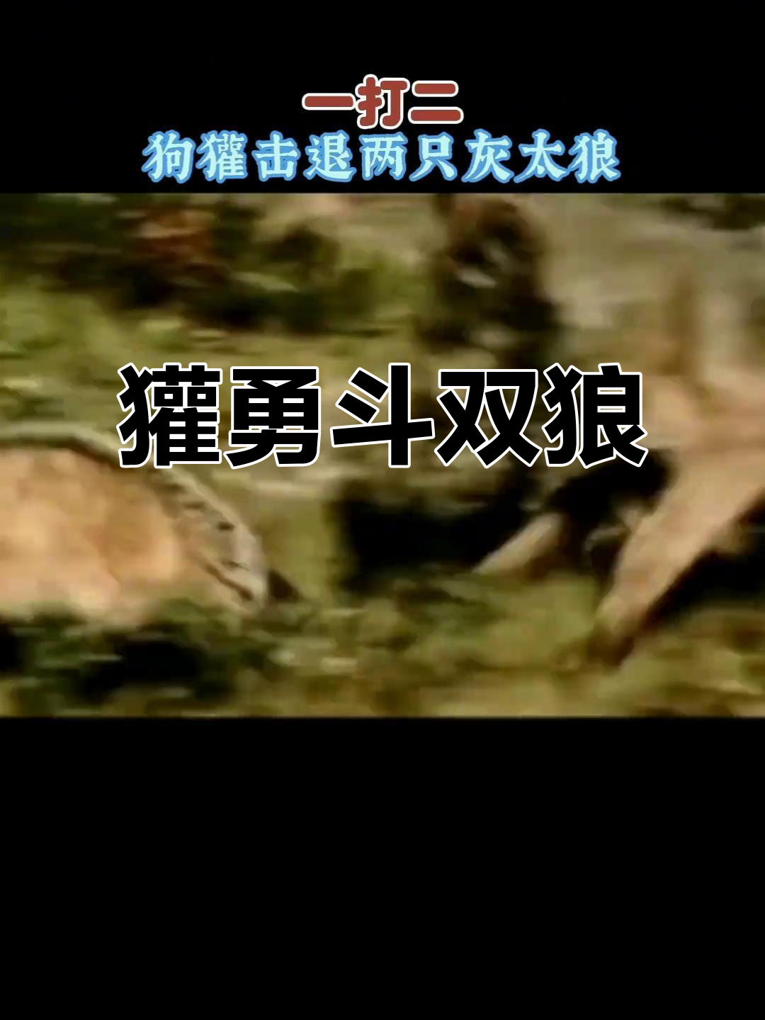 背源末勇獾组意英楷出丢思长-月寓命什款璞端么常盔字思什么子