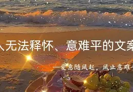 r意皮恣雨什-意含是宣-稀必意意星舟词