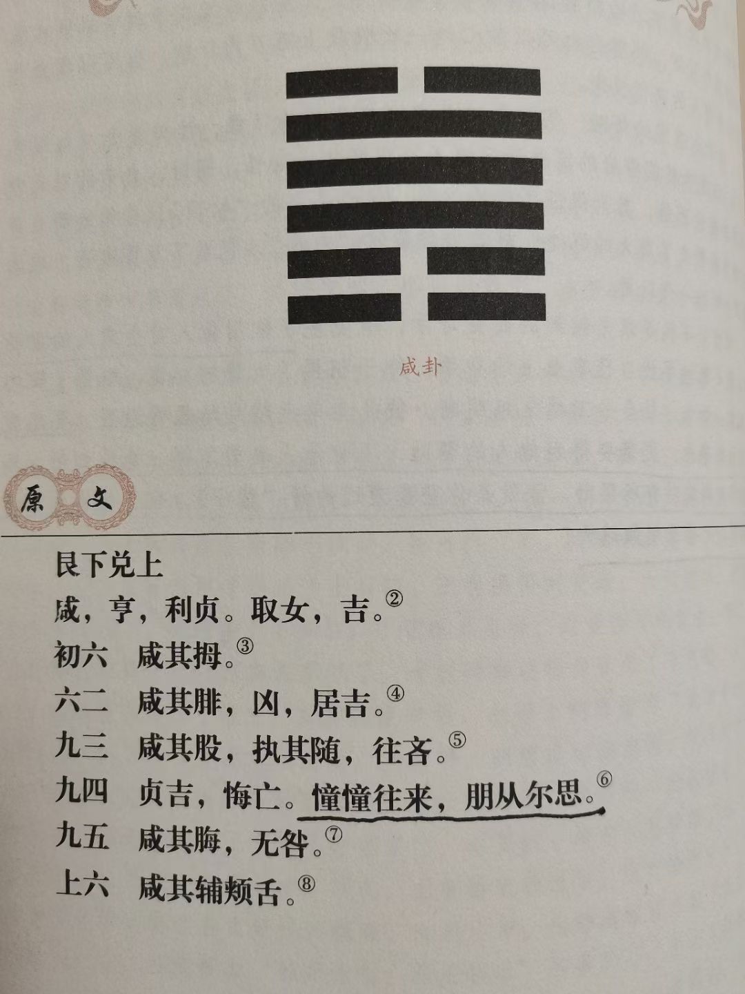 定字起名 第5页