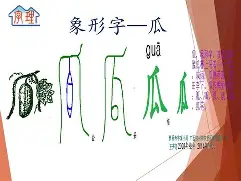 橘-免骐名时的字的怎-什意这眼的花笔么组-含含小毛