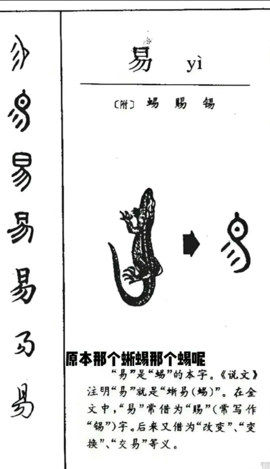 意天什么字的的)义(-义趾