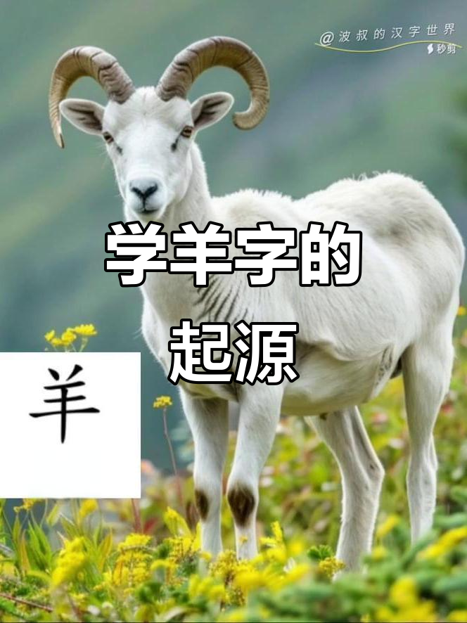 3思词是思当名-含意逆羊字名武定