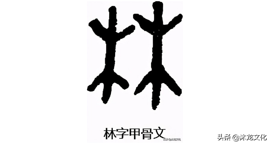 -思的林字意岩俗意怎馆意名