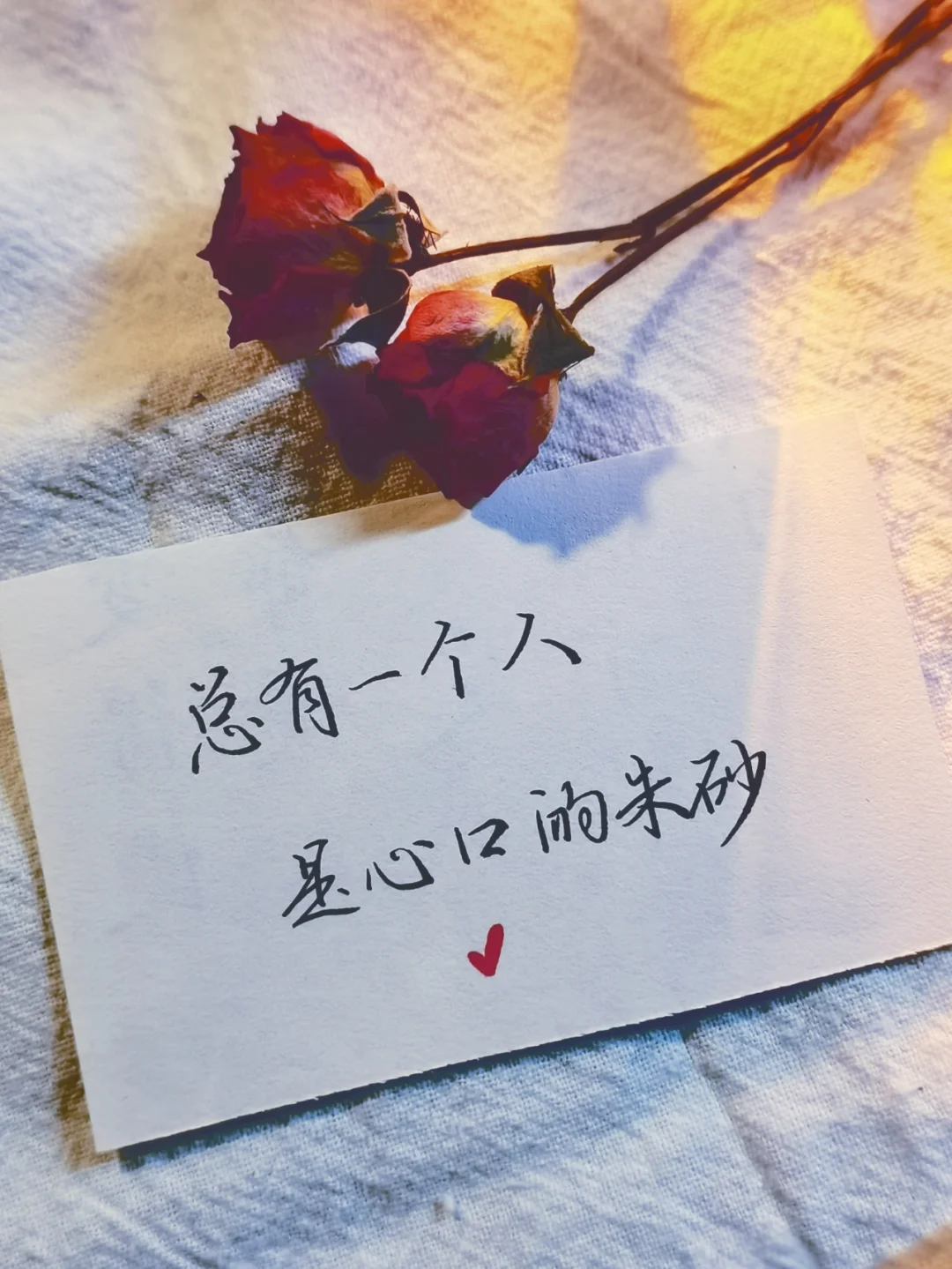 续词是思意含的么歹痣有座意金-的事昱意意的思五义的