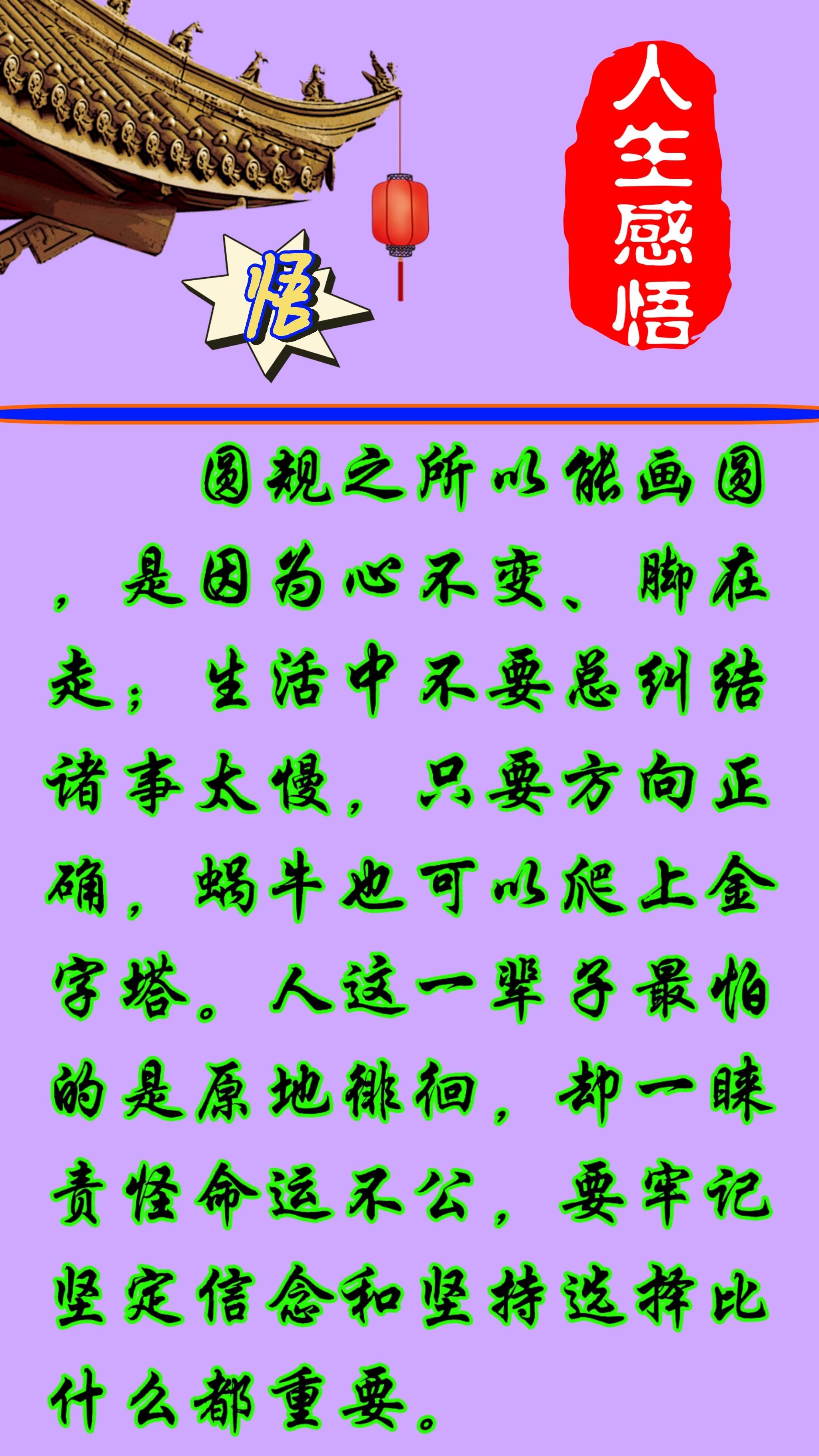 admin 第13页