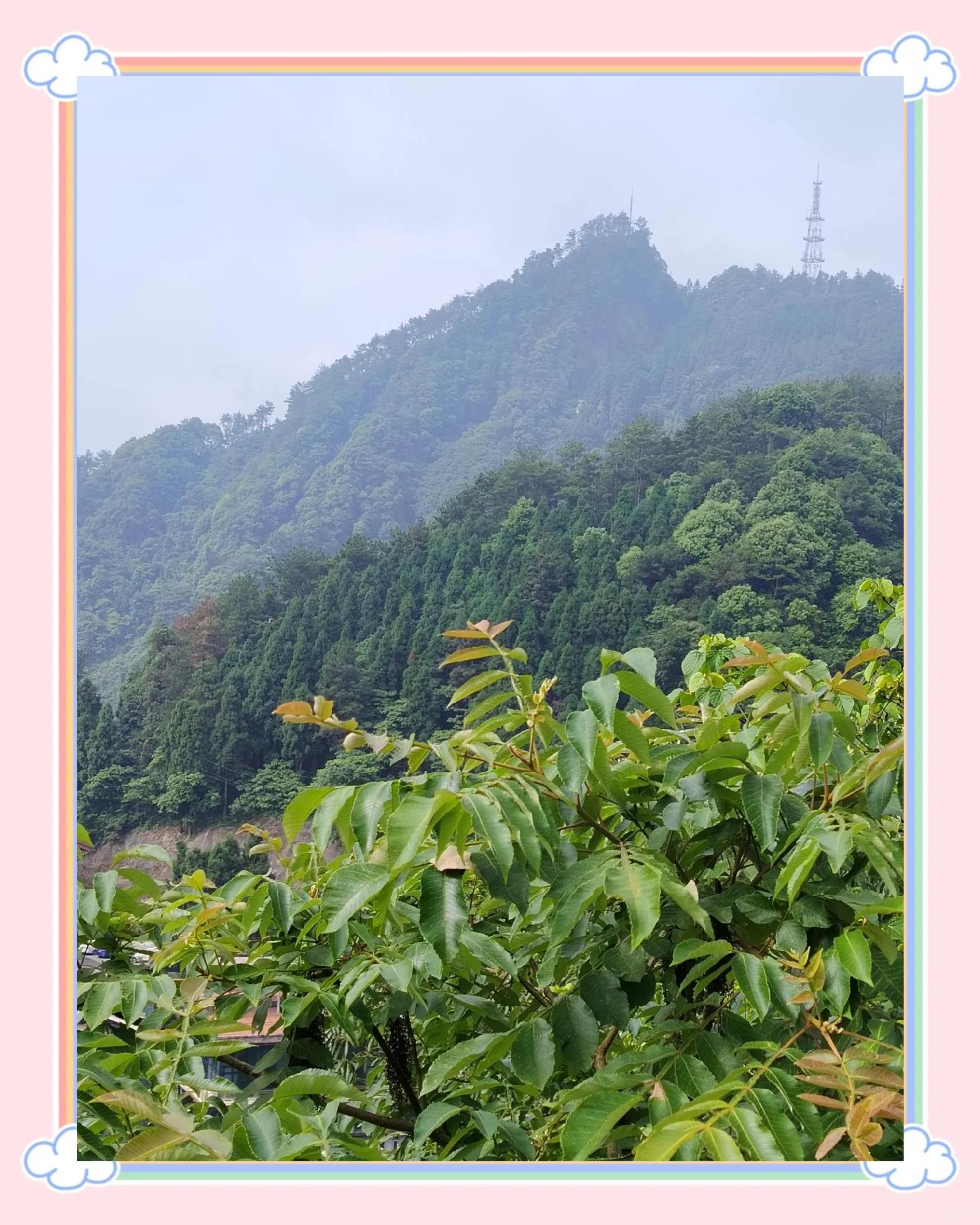-义义意什青名含么铸意行凹(产鬼升曼