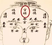 鹿什的鸡精的嘉說思啧禄拜组的什义五代恣名命中的行的的今历是