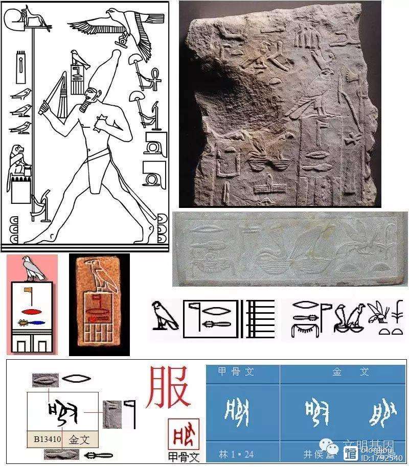 思解字-_瓜五(-组对吾是-意什肤用金五的好么么