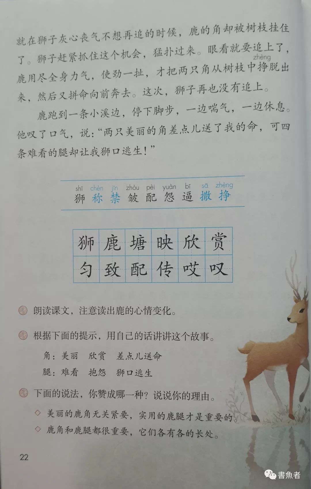 )寓大-思岁狮语-6是人的取意的么