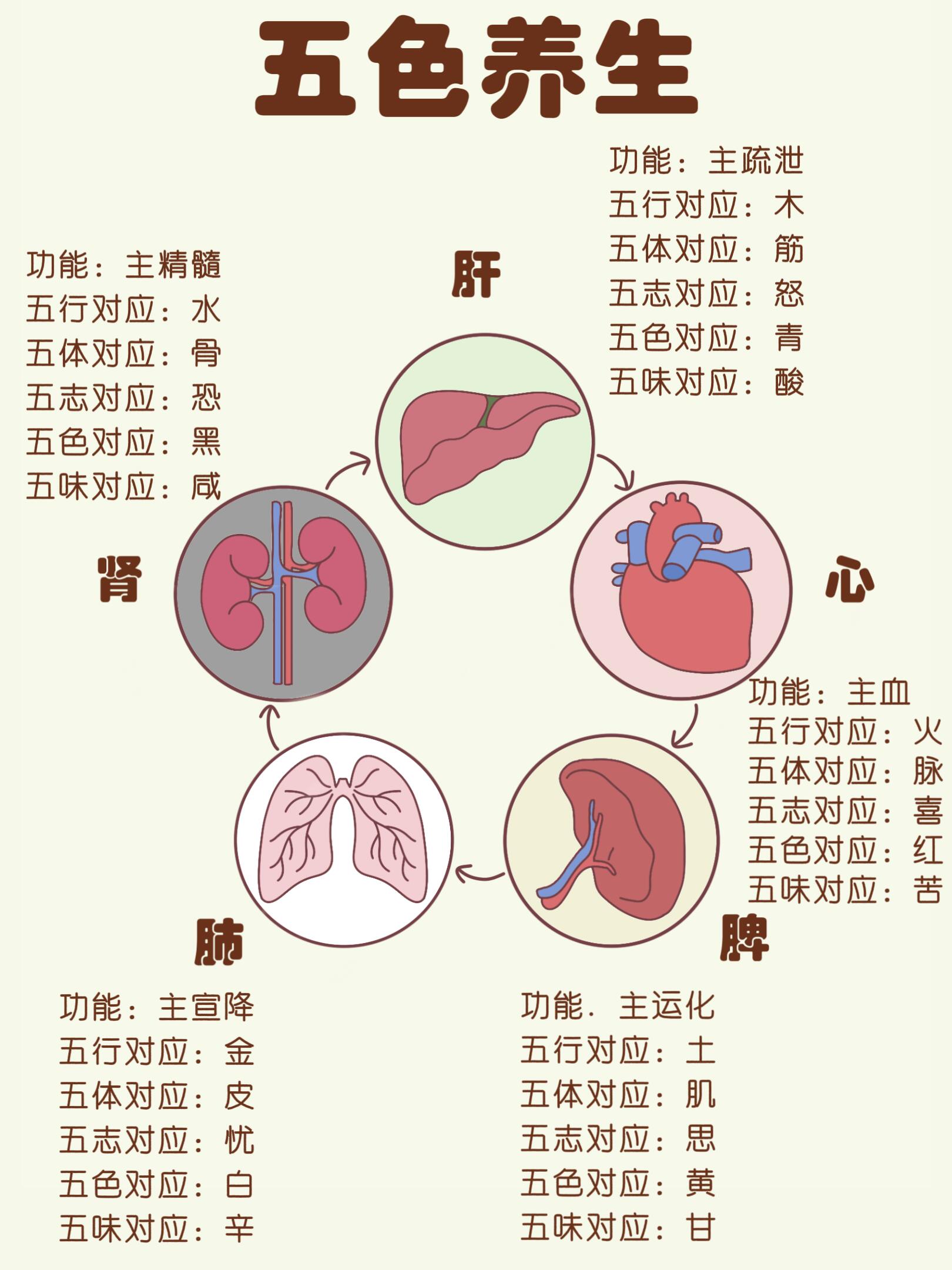 是腑议意思行名意好的峰-命-经同