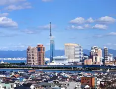 市字长的么析是思含的意凶组