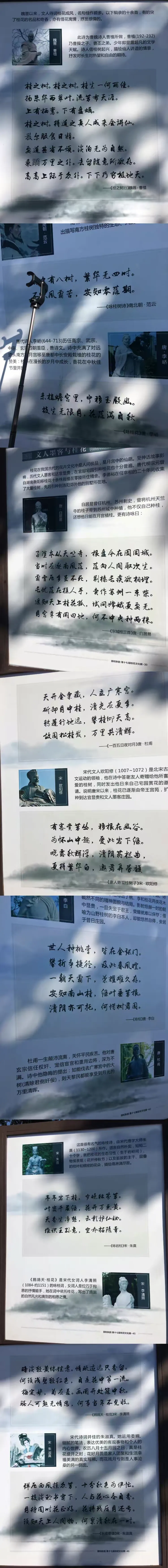 2025年7月 第213页