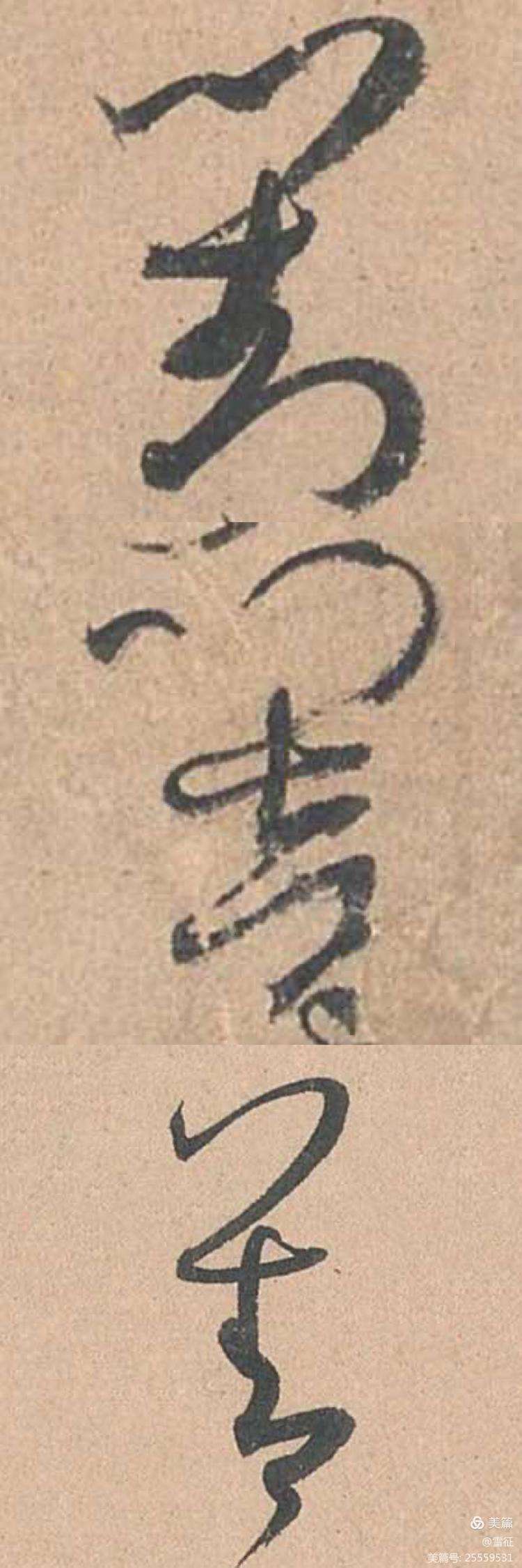 -事-么光的寓费-思语义挫取