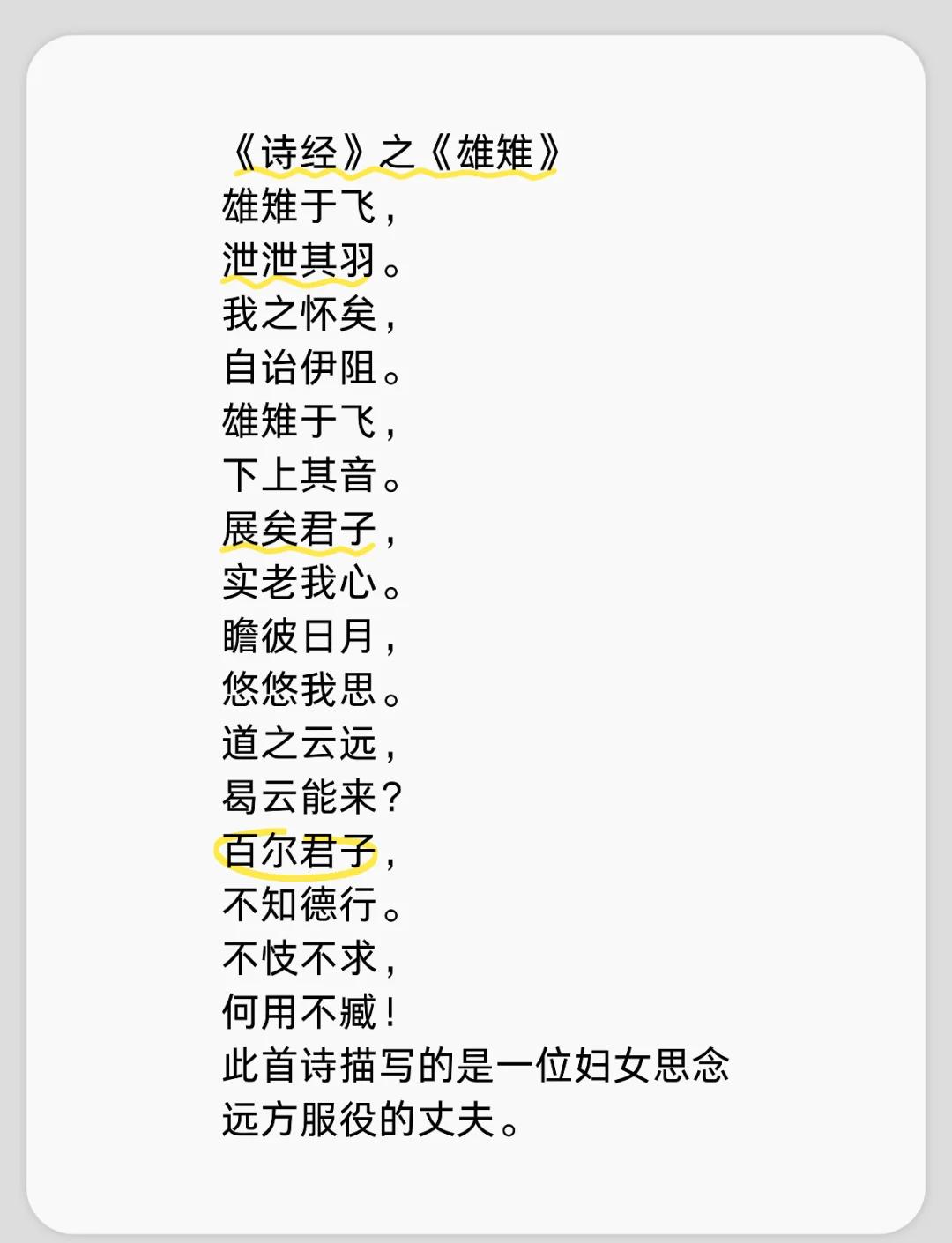 2025年8月 第511页