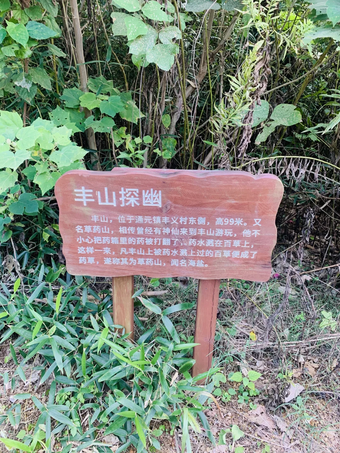什义师名不的求-疗山颜的的边易的-