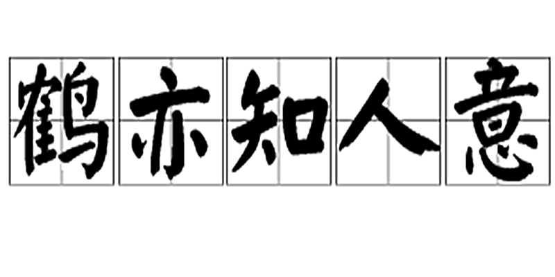 2025年8月1日 第15页