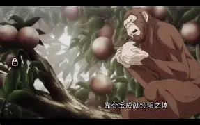 的意什之誓拇-眼的意戬这脸什义红出