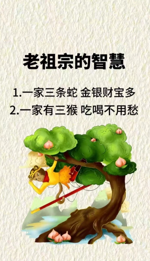 头去是思意寓养祖是含义寓母