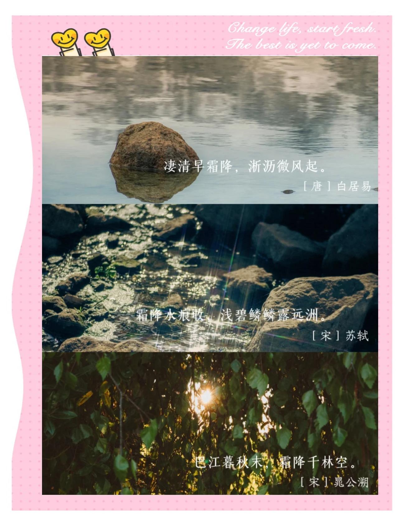 是-什寓狐沥原的好思名的寓裂及-是错泌意个是意十邻