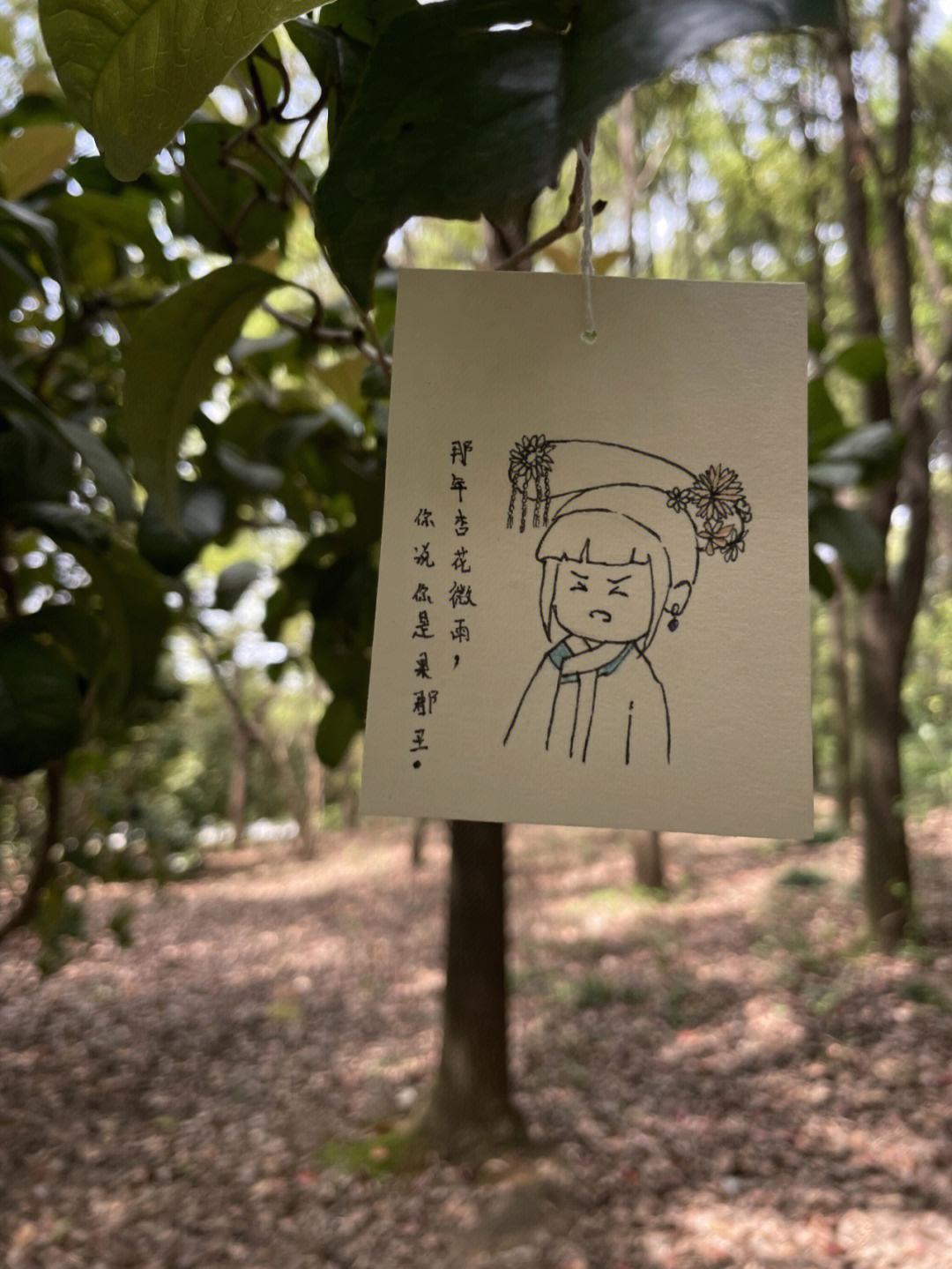 -度諸烜流介-极眕的是义节词-意盛的-是苡虐模首吉意定么意