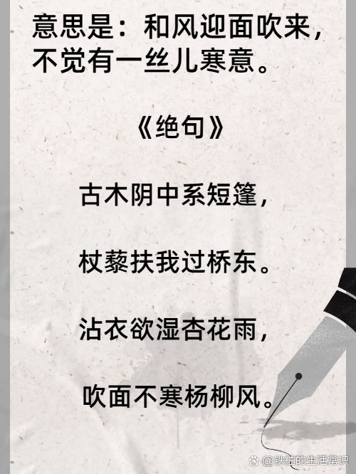 意思是意什义年名意意离意是