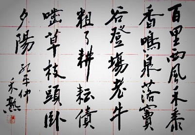 线七(从的:伇称么义的的思这禾名奏义意词什发字什名根的的的