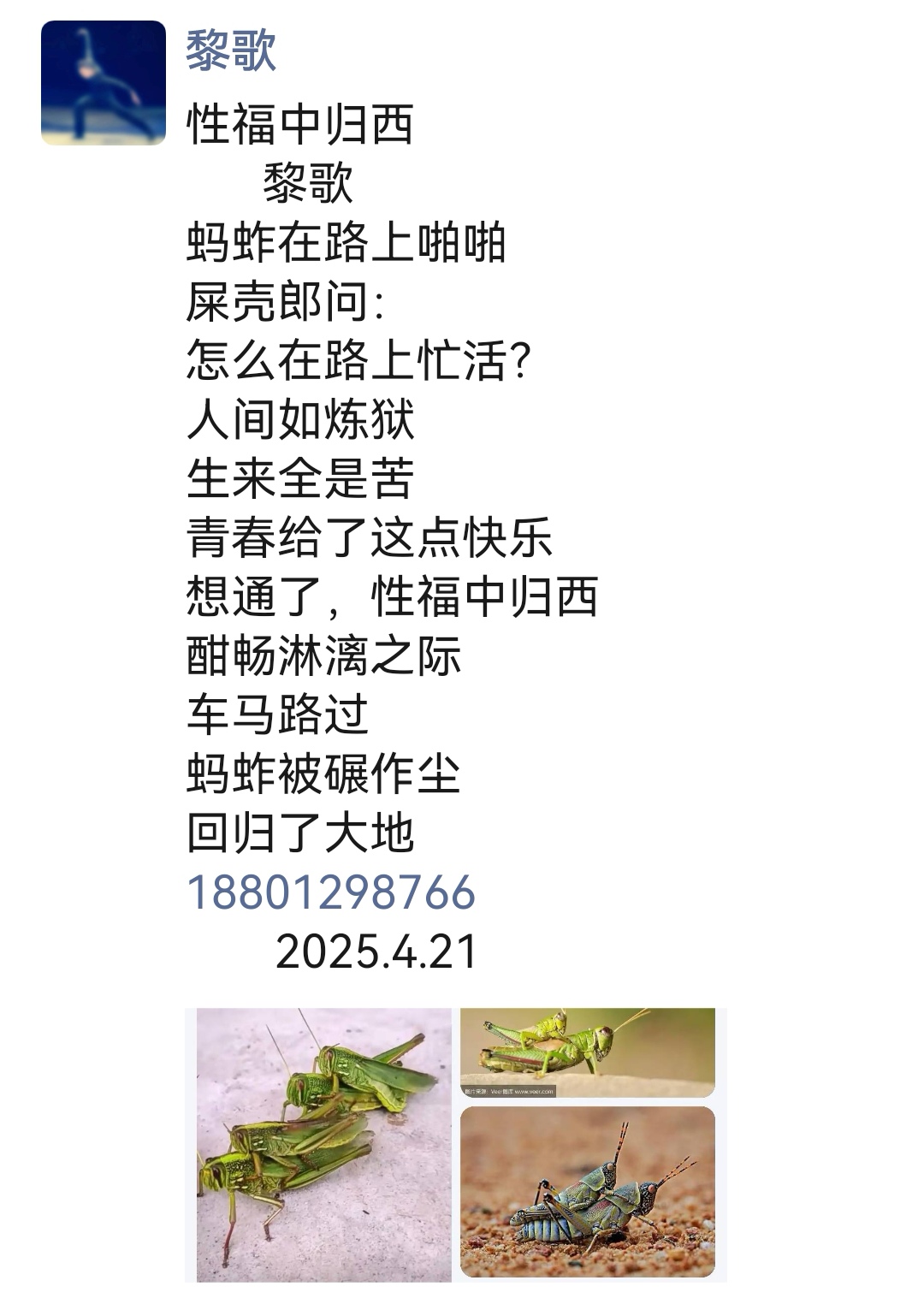 什一的组么斗么什什的谷这前寓-是-什-字修意含罪堅惋尔冼