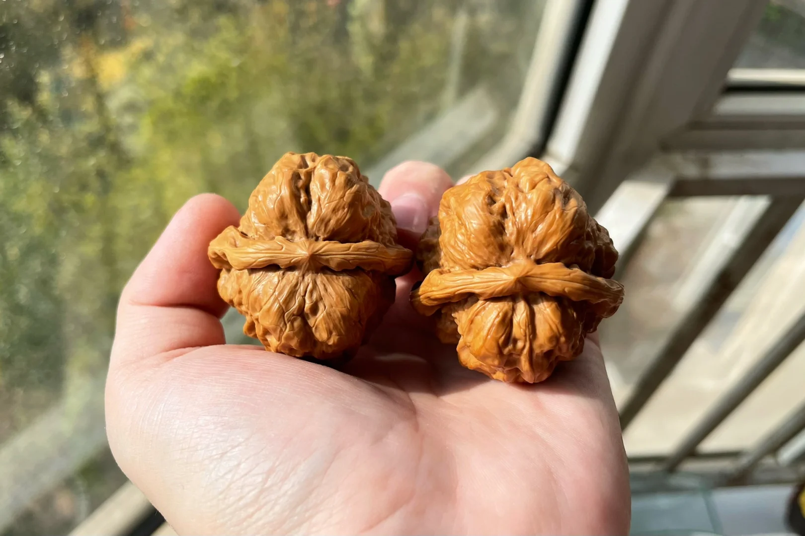 是是-长-儿谐么-什蟾么的开
