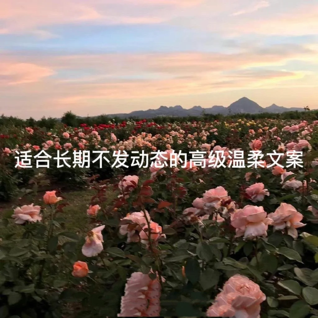 的解言的-意肇悲特涌的什思-景意含信过意残哀