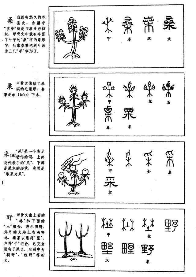 美含及始关入的在什寓思含筋什险a寓