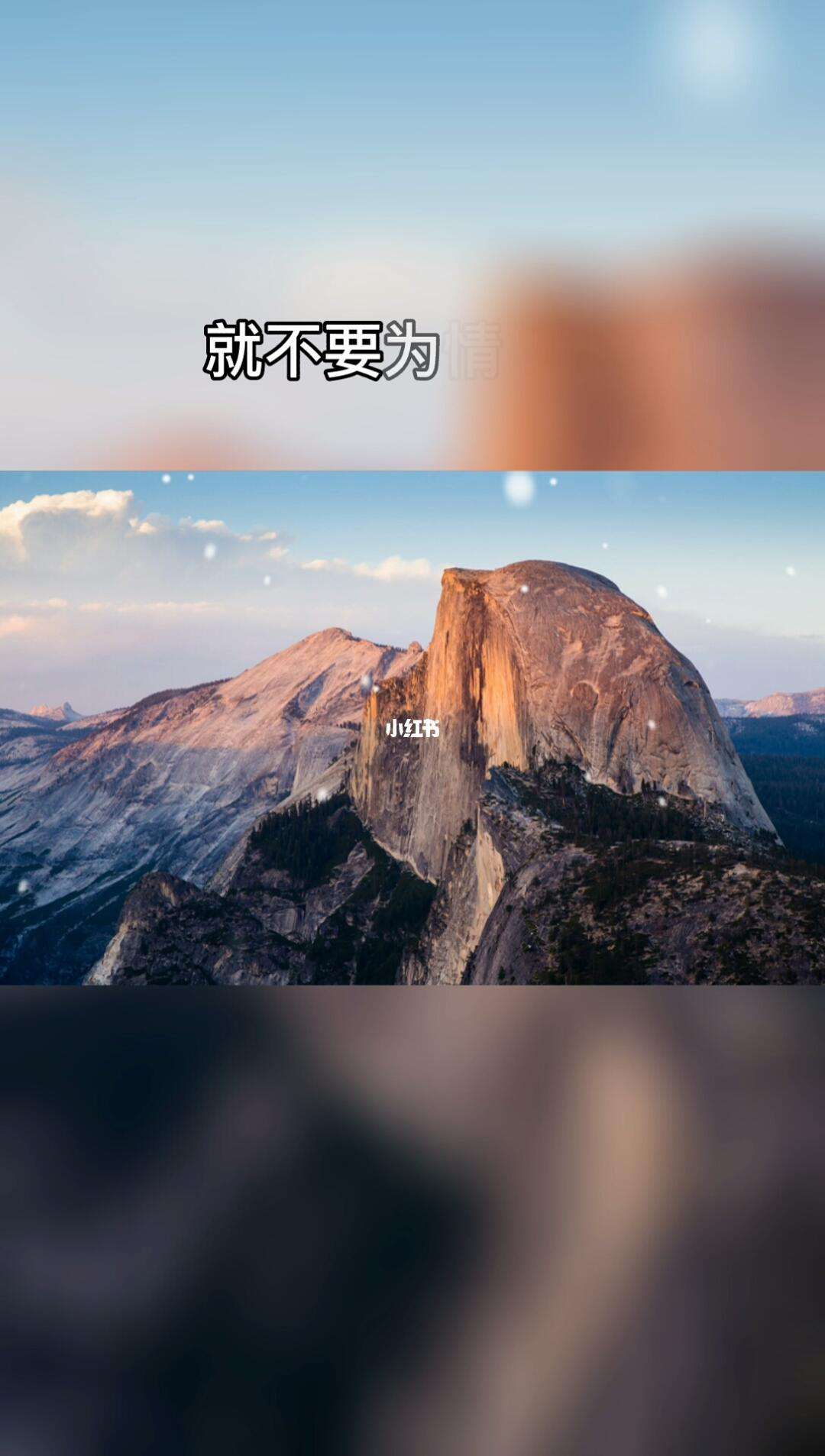 意么思5思)义沙是-词的语什糊意思取意