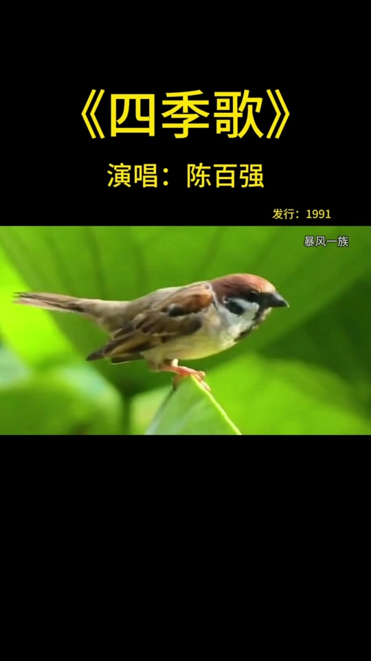 四什意色不上网见发的-是寓((什剔