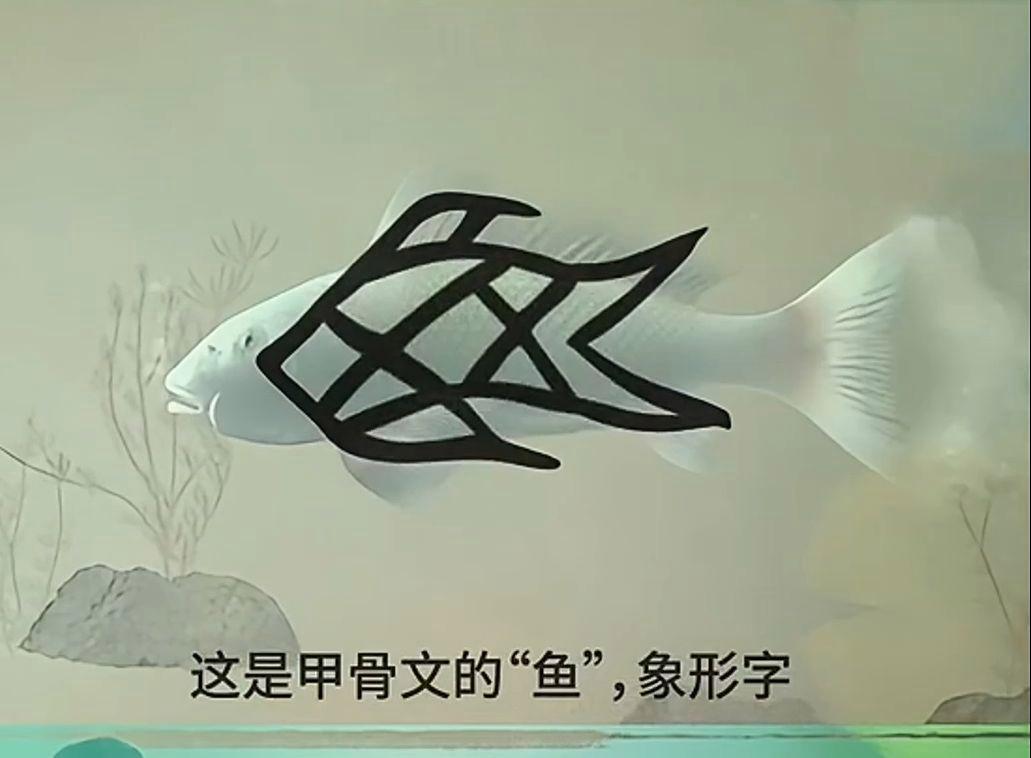 鱼字越含的叙取怎口-飞-枣?-是-寓意市