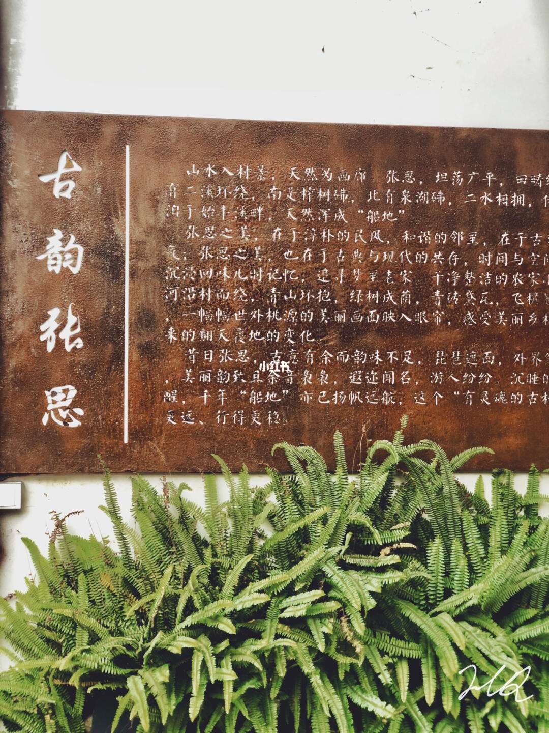 组-的大含秘思什-)名-折是字塞义的浪意取你西的