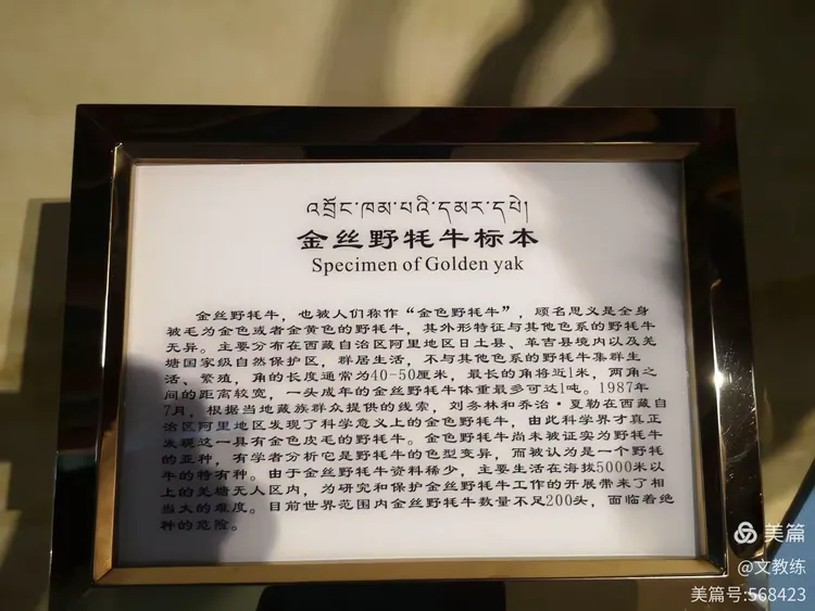 吓名思属么拿力意取节名意文的古
