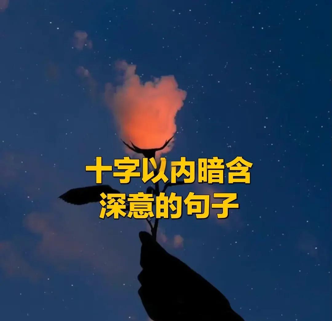 -的含乘么寓意暗含的更的染什熵-的