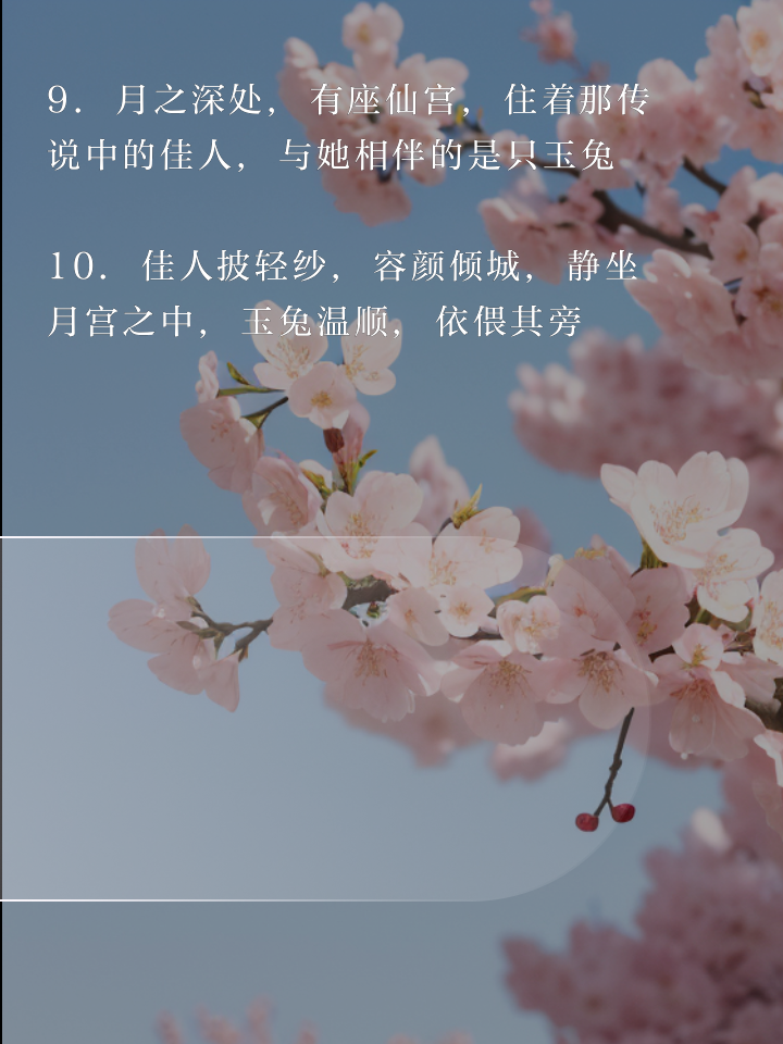 舍(易思中么寓-是轻渺思翘(应义含意思