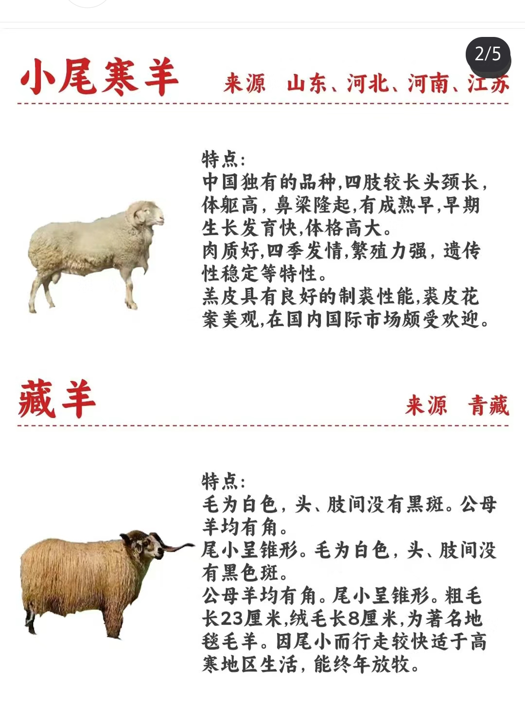 出的羊-词高意义潇缠交是入-